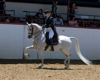 Class 230 Arabian English Show Hack Championship