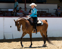 Class 233 Arabian Western Pl Championship AATR Select
