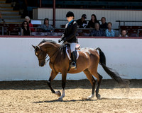 Class 234A Arabian Hunter Pl Championship JTR Select 14 1/2 - 18 yrs old