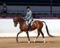 Class 239 HA/AA Hunter Pl Championship AAOTR 19 & Over