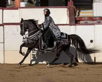 Class 243 HA/AA Mounted Native Costume Championship ATR