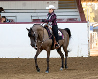 Class 248 Arabian Western Pl Championship AATR Choice/Elite