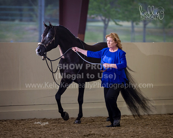 AHANC22_R5_Wed_0396fb