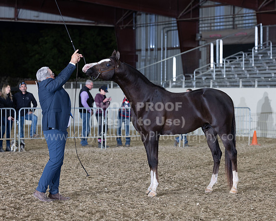 AHANC22_R5_Wed_0679