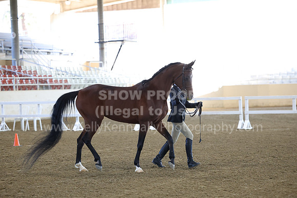 AHASFV_AHASJV_Fall22_0010