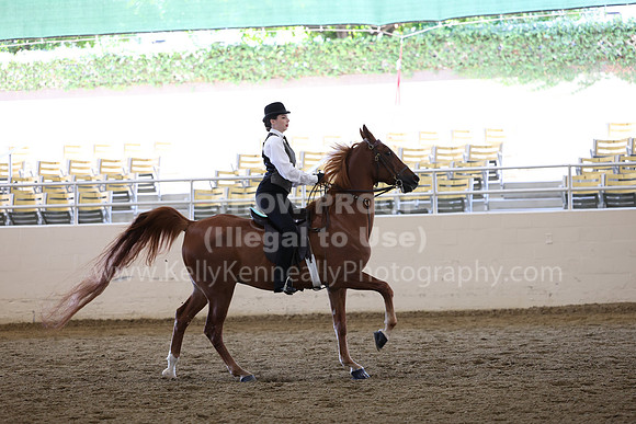AHASFV_AHASJV_Fall22_0601