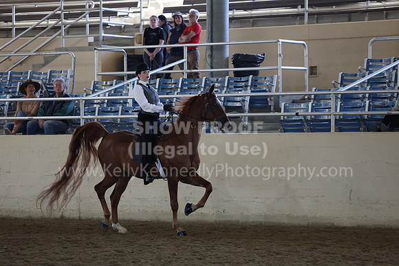 AHASFV_AHASJV_Fall22_0623