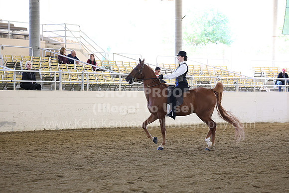 AHASFV_AHASJV_Fall22_0711