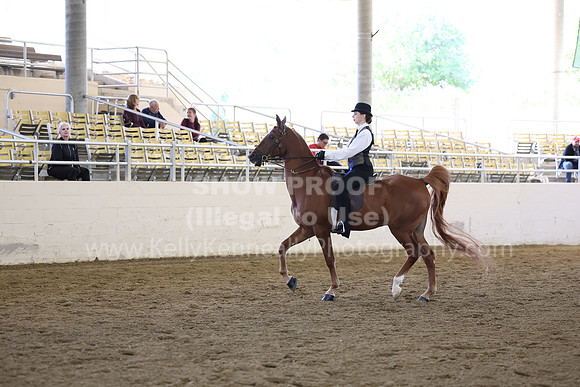 AHASFV_AHASJV_Fall22_0713