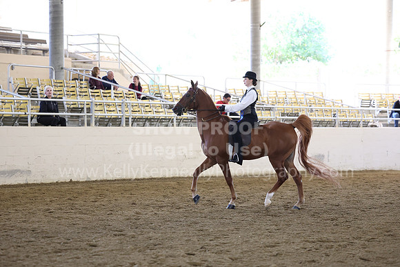 AHASFV_AHASJV_Fall22_0714