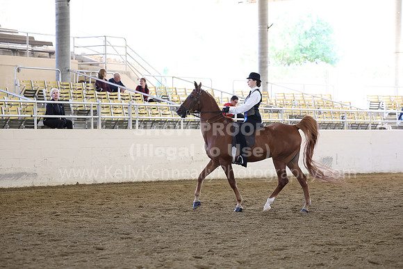 AHASFV_AHASJV_Fall22_0715