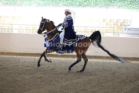 AHASFV_AHASJV_Fall22_1275