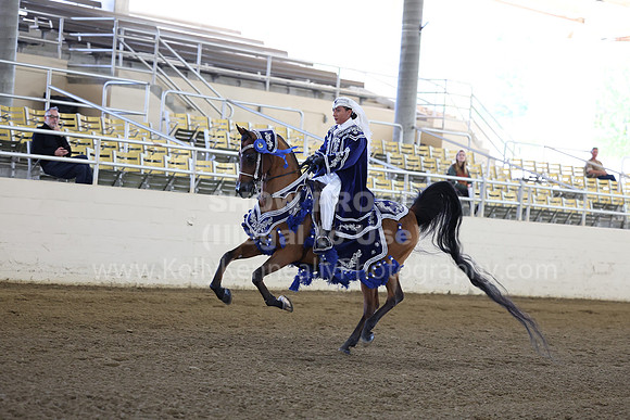 AHASFV_AHASJV_Fall22_1305