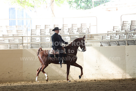 AHASFV_AHASJV_Fall22_1821