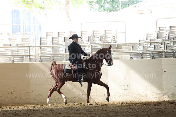 AHASFV_AHASJV_Fall22_1822