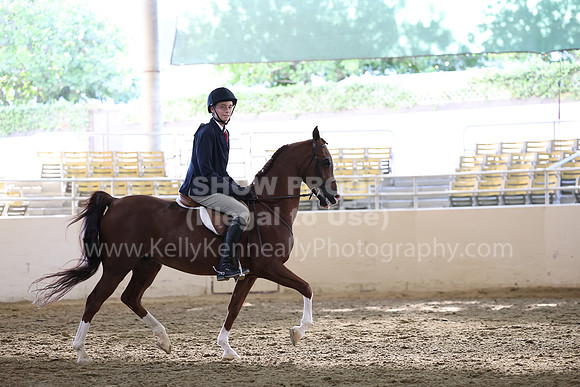 AHASFV_AHASJV_Fall22_3041