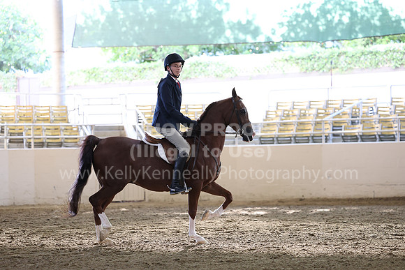 AHASFV_AHASJV_Fall22_3048