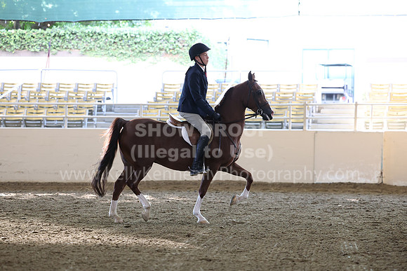AHASFV_AHASJV_Fall22_3054