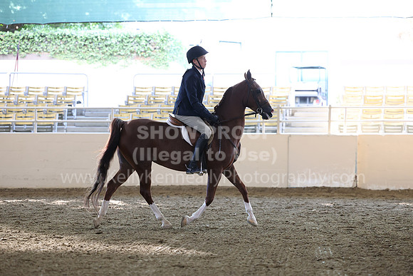 AHASFV_AHASJV_Fall22_3057