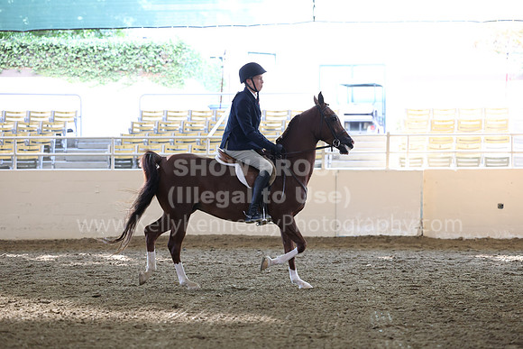 AHASFV_AHASJV_Fall22_3060