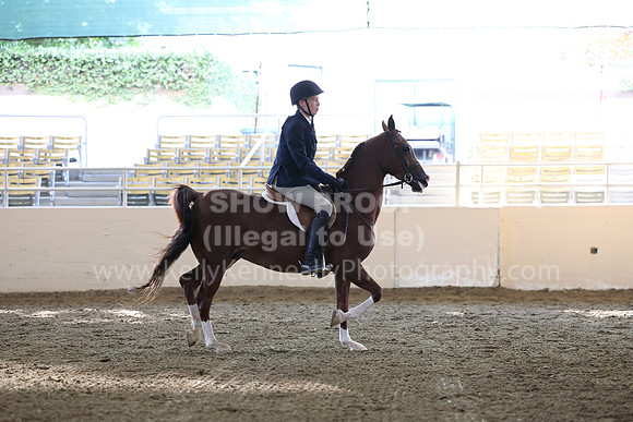 AHASFV_AHASJV_Fall22_3061