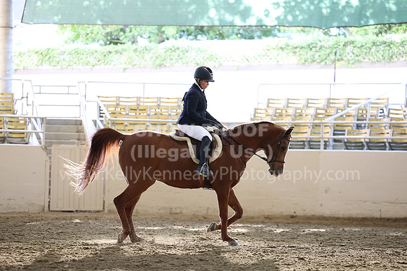 AHASFV_AHASJV_Fall22_3075