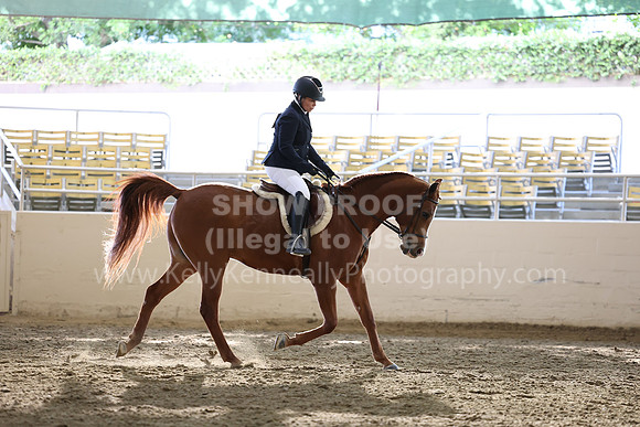 AHASFV_AHASJV_Fall22_3083