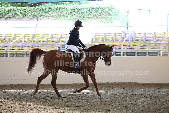 AHASFV_AHASJV_Fall22_3090