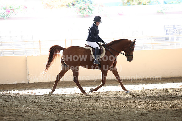 AHASFV_AHASJV_Fall22_3100