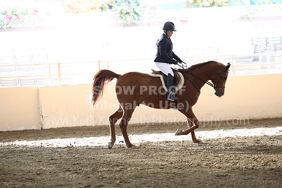 AHASFV_AHASJV_Fall22_3103