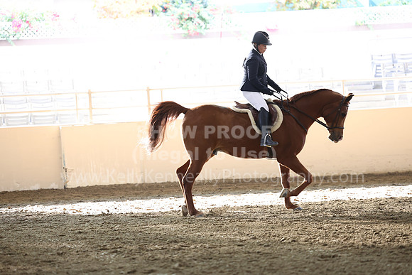AHASFV_AHASJV_Fall22_3104