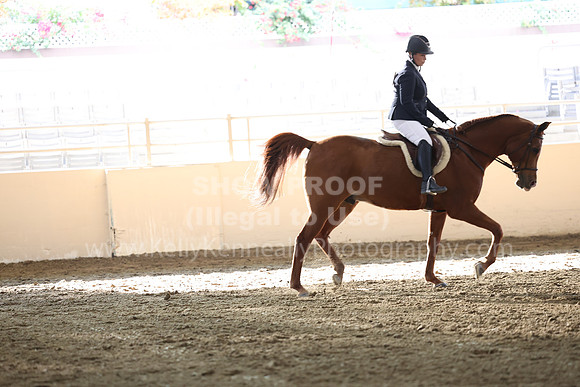 AHASFV_AHASJV_Fall22_3106