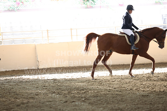 AHASFV_AHASJV_Fall22_3107