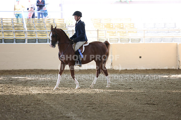 AHASFV_AHASJV_Fall22_3108