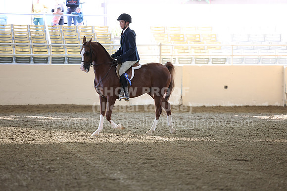 AHASFV_AHASJV_Fall22_3110