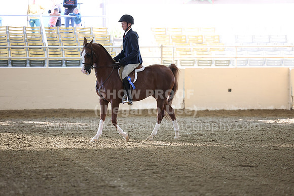 AHASFV_AHASJV_Fall22_3109