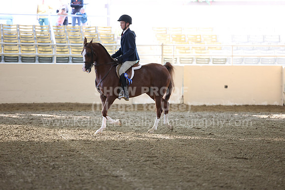 AHASFV_AHASJV_Fall22_3111