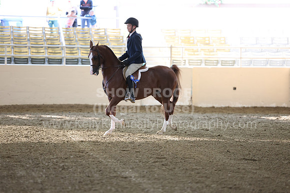 AHASFV_AHASJV_Fall22_3112