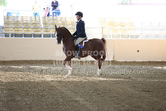 AHASFV_AHASJV_Fall22_3113