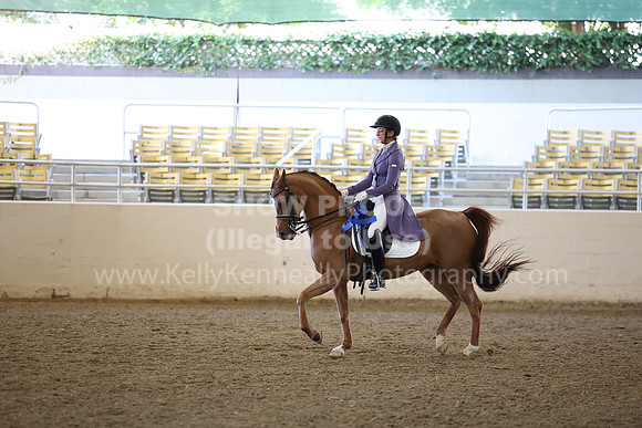 AHASFV_AHASJV_Fall22_3763