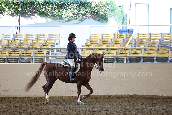 AHASFV_AHASJV_Fall22_4102