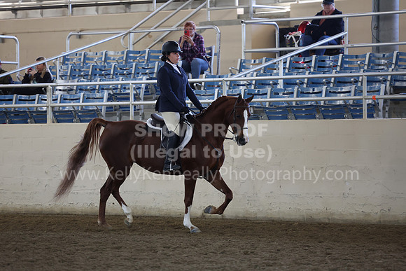 AHASFV_AHASJV_Fall22_4132