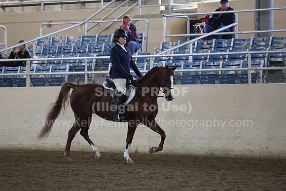 AHASFV_AHASJV_Fall22_4133