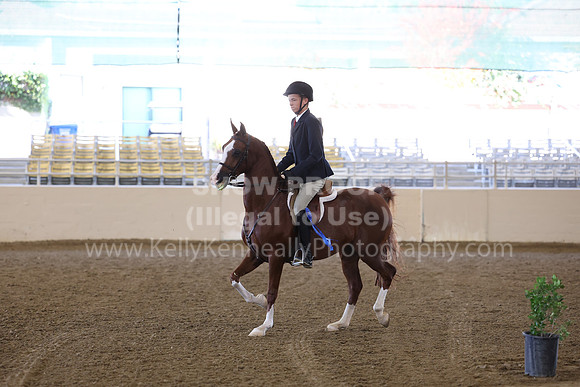 AHASFV_AHASJV_Fall22_4294