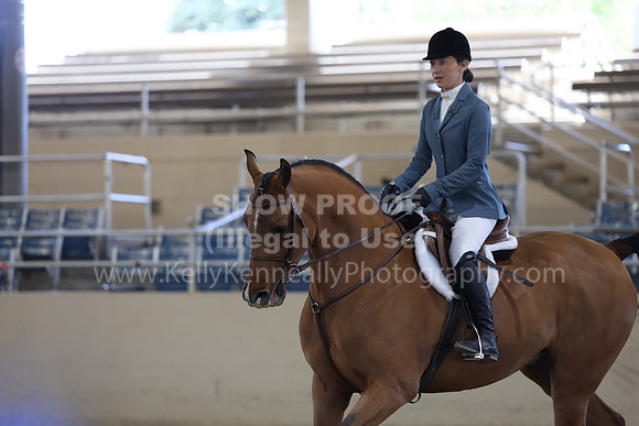 AHASFV_AHASJV_Fall22_4417