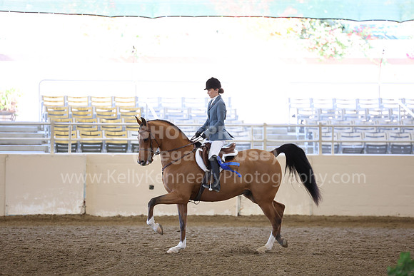 AHASFV_AHASJV_Fall22_4453