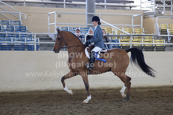 AHASFV_AHASJV_Fall22_4528