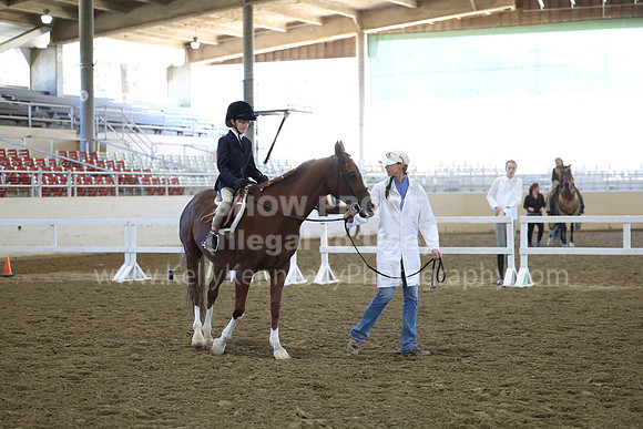 AHASFV_AHASJV_Fall22_4558