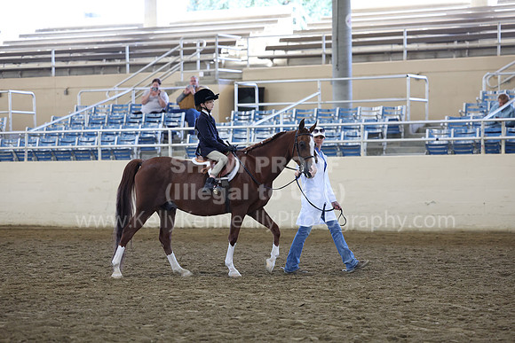 AHASFV_AHASJV_Fall22_4562