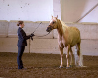 Region3_2015_Sun_0007 copy